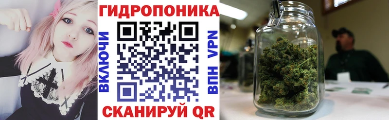 Шишки марихуана MAZAR  Купить где  Анадырь 